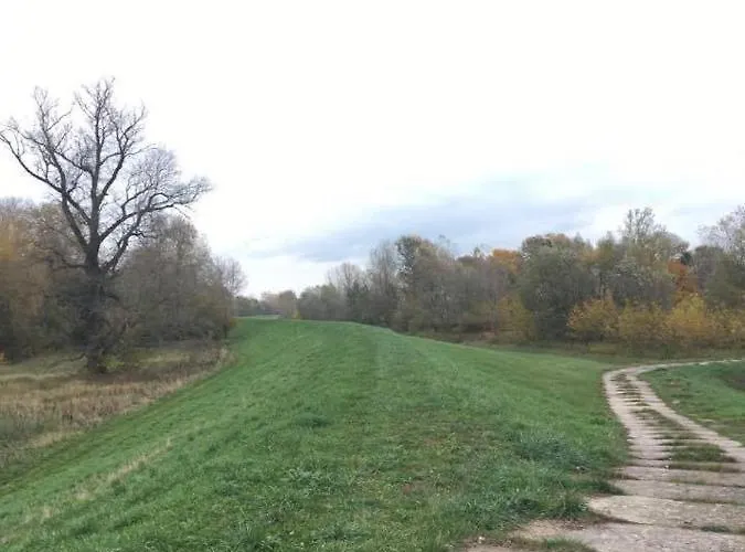 Domek letniskowy Nad Wisłą U Macieja *